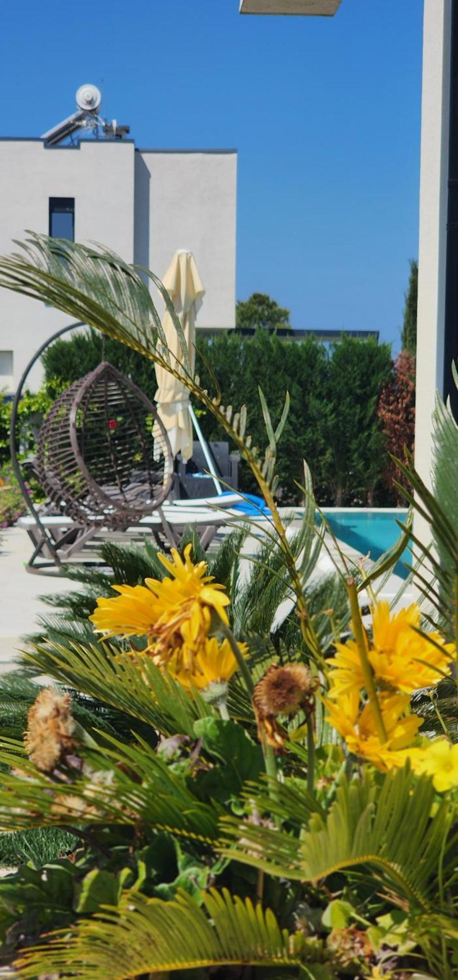 Vila 29 Valamar Durres Ngoại thất bức ảnh